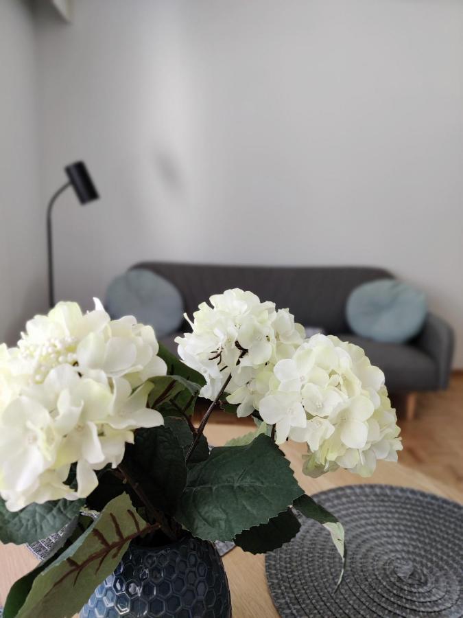 Niinivaara Apartment Saunallinen Ja Ilmastoitu Majoitus Joensuu Ngoại thất bức ảnh